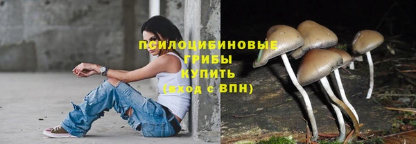 спайс Алексин