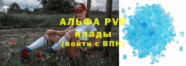 СК Новодвинск