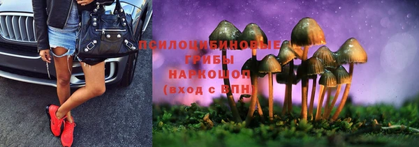 соль ск Алексеевка