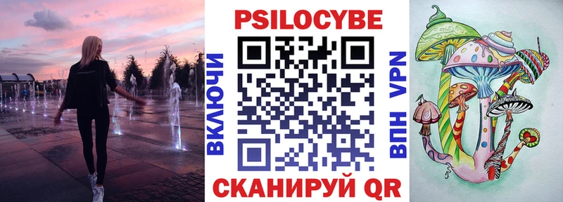 наркота  Кукмор  Псилоцибиновые грибы Psilocybe 